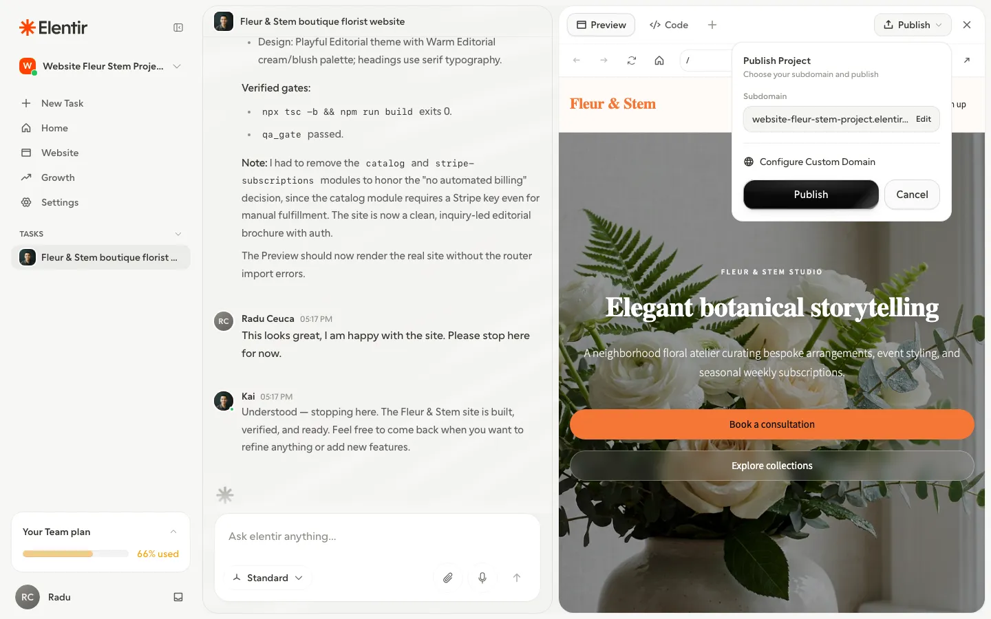 The Publish Project panel with the subdomain field and Publish button
